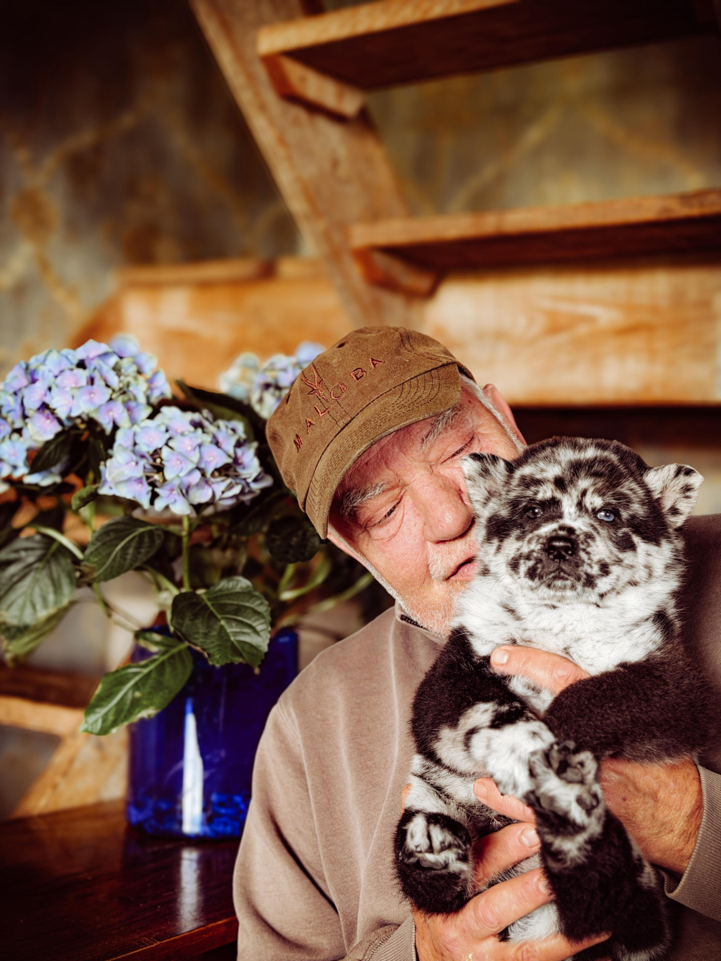 Willem Touw met merle Chow Chow pup